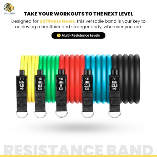 PRO365 Premium Resistance Bands with Door Anchor & Foam Handles, Weight Display Toning Tubes, Carrying Bag and Ankle Straps Included (1 Year Brand Warranty) - Image 3