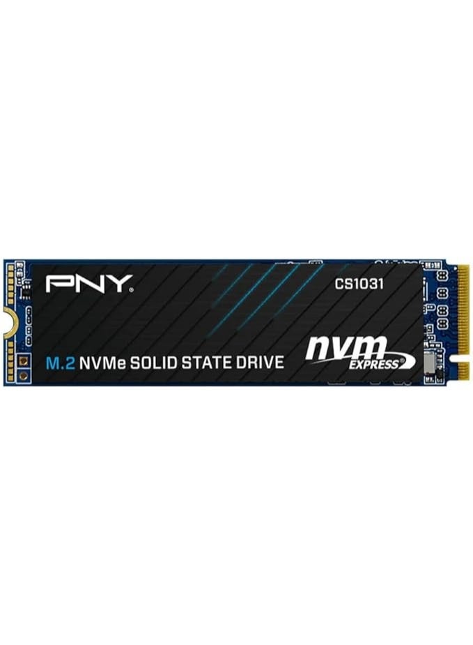PNY SSD M.2 256GB CS1031 -  M280CS1031-256-CL 256 GB - Image 1