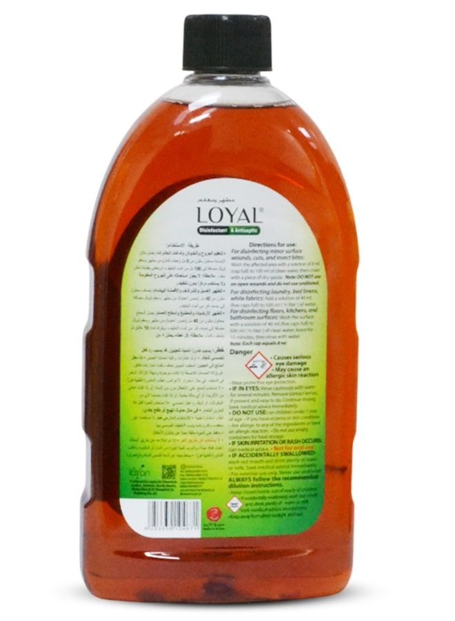 Loyal Disinfectant & Antiseptic Liquid 750 ml - Image 2