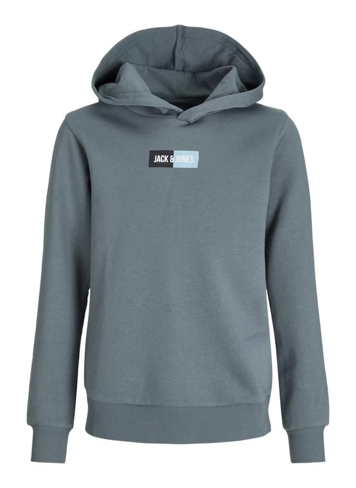 Jack & Jones Junior Kids Jjpan Logo Hoodie - Image 5