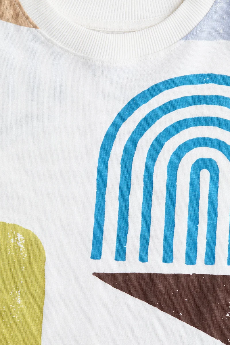 اتش اند ام Loose-fit cotton T-shirt