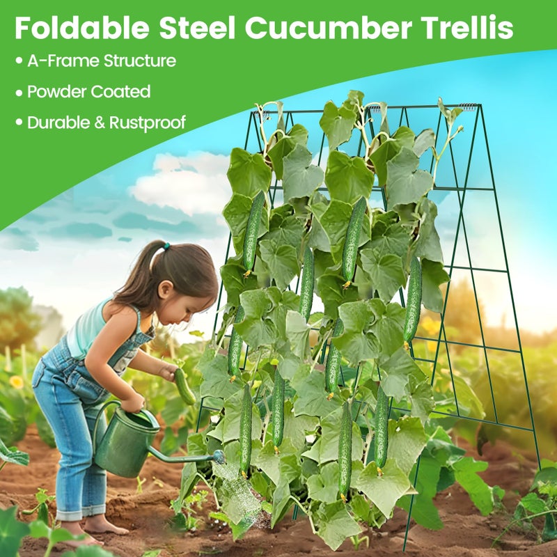 Toriexon Foldable Cucumber Trellis - 2 Pack, A-Frame Garden Trellis 46" L x 18" W, Steel Climbing Plants Support Raised Bed Trellis with Twist Ties & Plant Bags for Climbing Plants Outdoor - Image 2