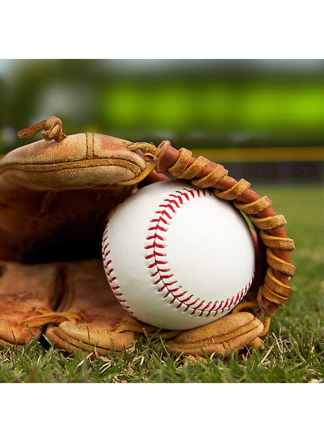 Invui 9-inch Hard Baseball Training Ball Solid Soft Filling Hitting Ball Youth Children Adult Baseball 4-pack - Image 4