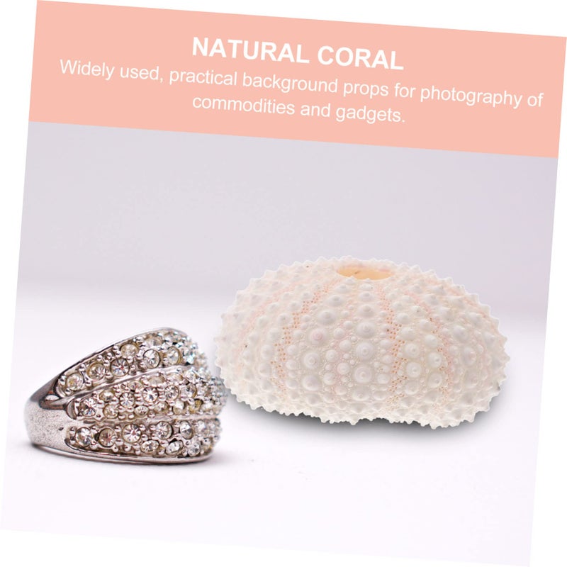 Natural Coral Ornament for Jewelry Nail Art Display and Photography Lightweight Desktop Decoration - Image 5