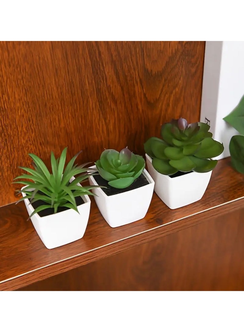 كلين ويف 3 نباتات عصارية صغيرة – خضرة صناعية واقعية، خضرة صناعية صغيرة في أواني لديكور الطاولة أو المكتب أو الرف | رائعة للربيع والعطلات والأسلوب اليومي لغرفة المعيشة أو المكتب أو الرف | ديكور جميل لكل موسم واحتفال - Image 5