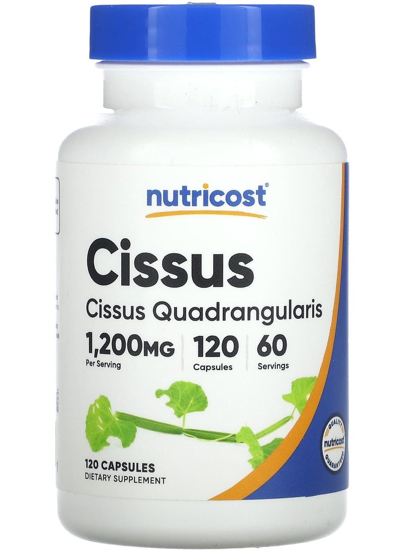 Nutricost Cissus, 1,200 mg , 120 Capsules (600 mg per Capsule)
