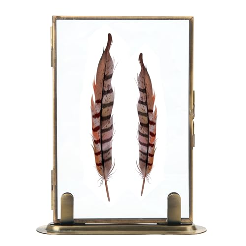 Goutangen 5x7 Brass Floating Frame Vintage Gold Picture Frames Double Glass Pressed Flower Frame with Metal Stand Tabletop Shelf Photo Frame Decor for Wedding Home Office - Image 1