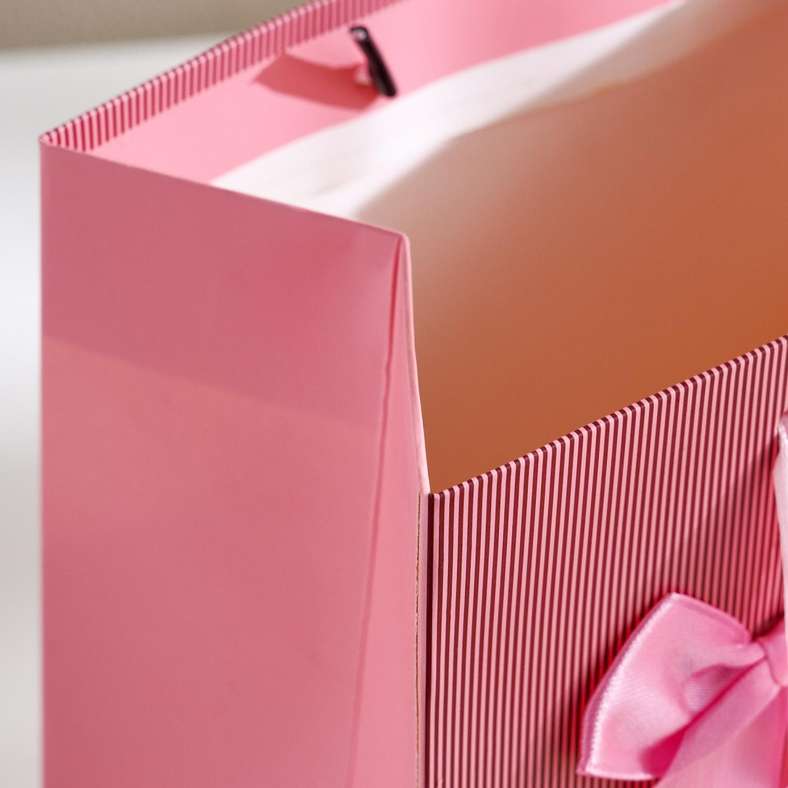 Pan Home Premium Pink Gift Bag with Bow for All Occasions - Image 4