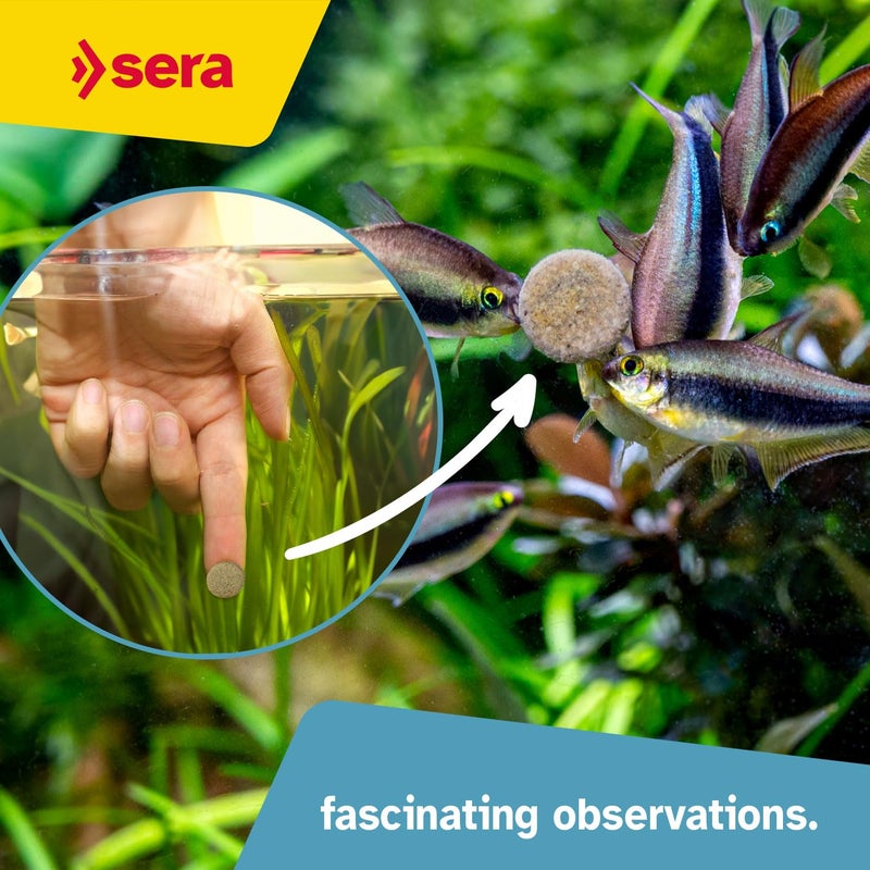 Sera O-Nip Nature 24 Tabs 0.6 oz | Complete Feed for All Ornamental Fish | Adhesive Tablets Stick to The Aquarium Glass | High Protein | No Dyes & Preservatives | with Bloodworms, Krill & Tubifex - Image 4