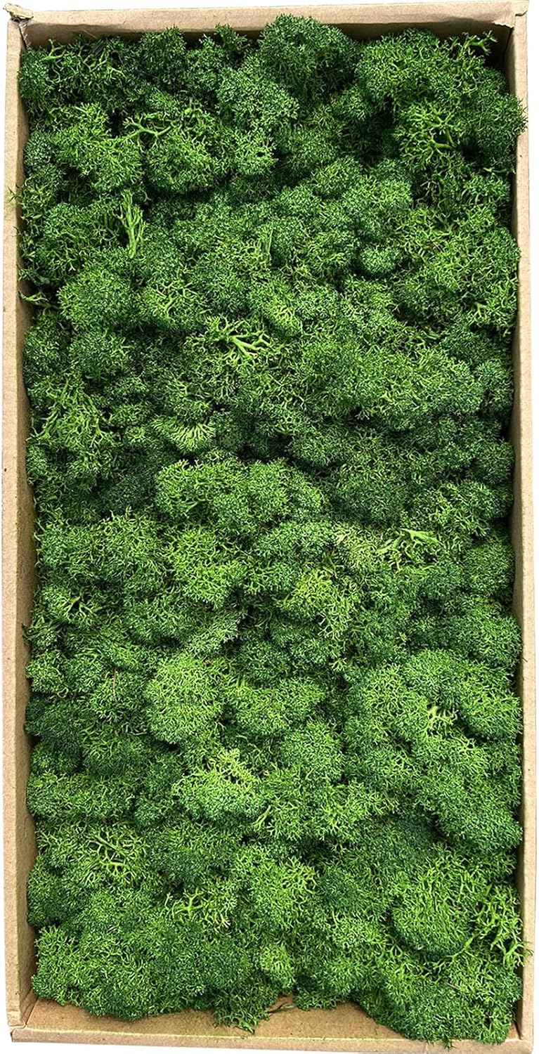 Gusaloo Preserved Moss 1.1lb Artificial Moss for Potted Plants Natural Fresh Green Moss for Crafts Fake Moss Arts Floral Orchid Moss Wall Decor Wedding Centerpieces Garden Terrariums Christmas Decoration - Image 1