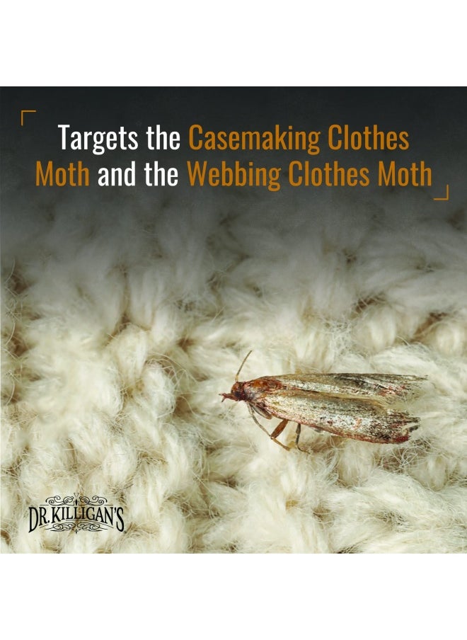 Premium Clothes Moth Traps with Pheromones Prime Non-toxic Clothing Moth Trap With Lure for Closets Moth Killer Treatment  Prevention Case Making and Web Spinning Moth 6 Black