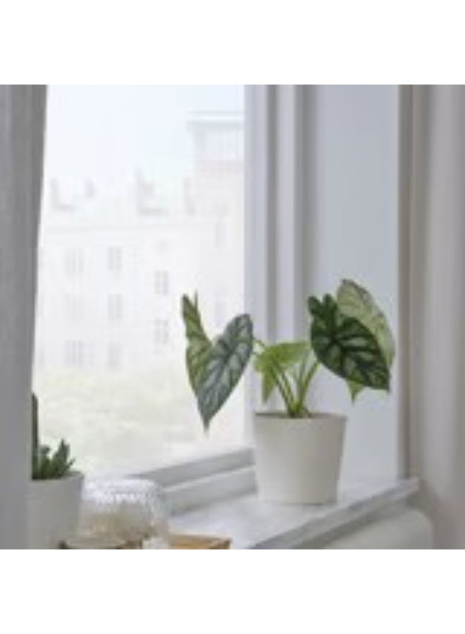 Plant pot white 12 cm - Image 2