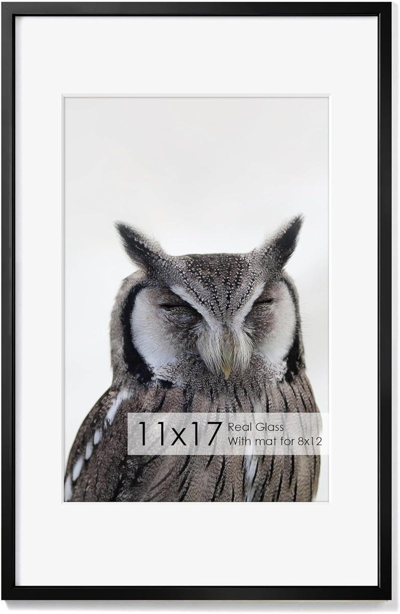 Fun Memories إطار صور معدني 11x17 مع حشوة 8x12، تشطيب ألومنيوم فرشاة، ملحقات تعليق مرفقة، وواجهة زجاج مقوى - إطارات عرض حائط متعددة الاستخدامات أفقية أو عمودية مجموعة من 1 - أسود - Image 1
