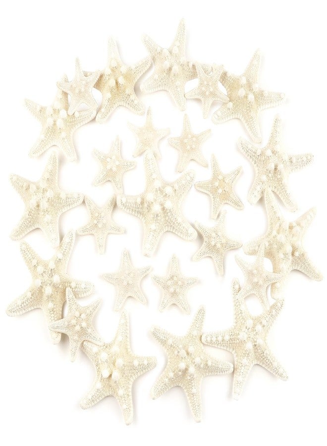 Jangostor 24 PCS White Knobby Starfish, Mixed Sizes 1" to 3", Nautical & Wedding Decor, DIY Crafts, Fish Tank Ornaments - Image 1