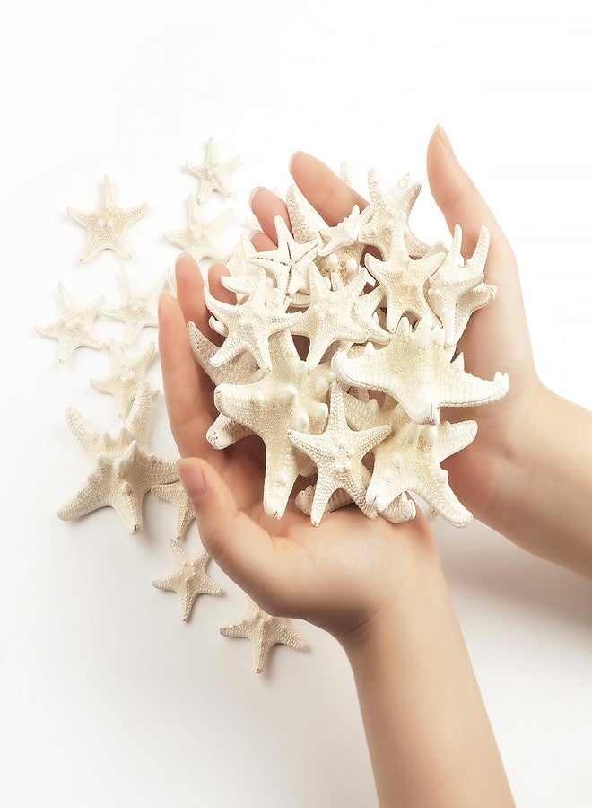 Jangostor 24 PCS White Knobby Starfish, Mixed Sizes 1" to 3", Nautical & Wedding Decor, DIY Crafts, Fish Tank Ornaments - Image 3