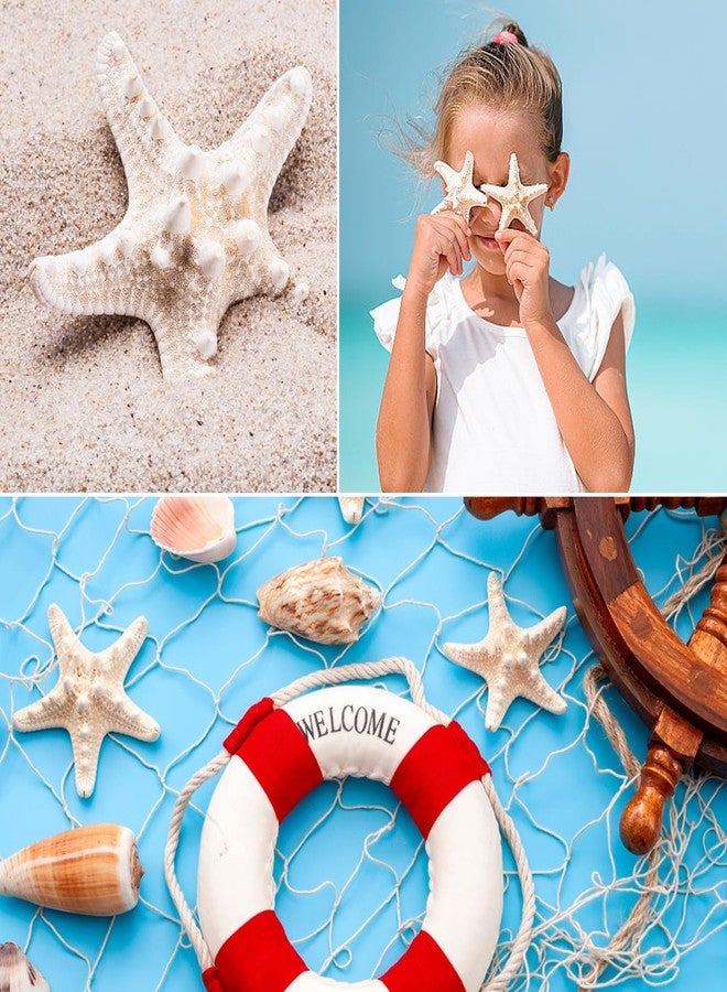 Jangostor 24 PCS White Knobby Starfish, Mixed Sizes 1" to 3", Nautical & Wedding Decor, DIY Crafts, Fish Tank Ornaments - Image 4