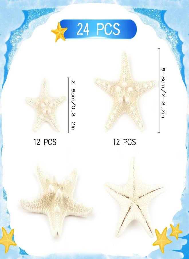 Jangostor 24 PCS White Knobby Starfish, Mixed Sizes 1" to 3", Nautical & Wedding Decor, DIY Crafts, Fish Tank Ornaments - Image 2