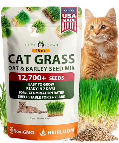 HOME GROWN أعشاب القطط الممتازة 1 باوند من بذور الشوفان والشعير المختلطة 100% غير معدلة وراثيًا من الولايات المتحدة الأمريكية - Image 1