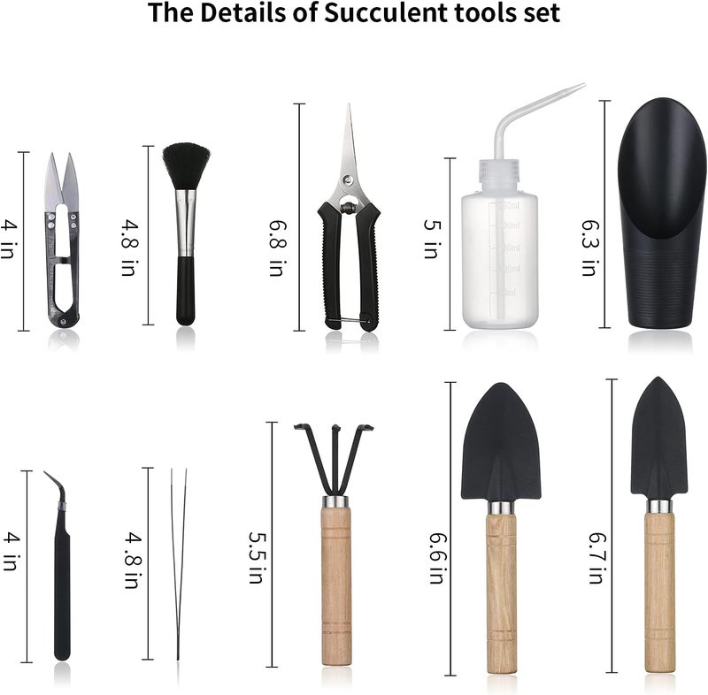 Songtaste 11Pcs Succulent Tools,Mini Garden Tools,Succulent Watering Tool as Plant Accessories,Succulent Gardending Hand Tools Kit for Seedling Soil,Caring Succulent,Houseplant,Gifts for Woman (No Flowerpot) - Image 2