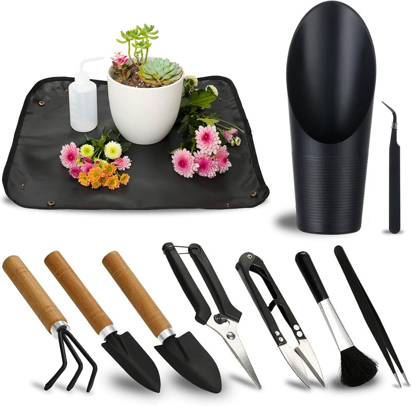 Songtaste 11Pcs Succulent Tools,Mini Garden Tools,Succulent Watering Tool as Plant Accessories,Succulent Gardending Hand Tools Kit for Seedling Soil,Caring Succulent,Houseplant,Gifts for Woman (No Flowerpot) - Image 1