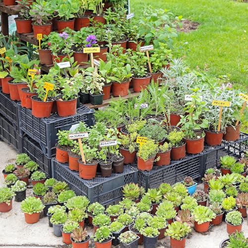 Delxo 4” Nursery Pots 100 Pcs Plastic Small Plant Pots with Drainage Holes, Flexible Seed Starter Pots for Seedlings, Cuttings & Transplanting, Reusable Flower Pots for Indoor Outdoor Plants, Red - Image 3