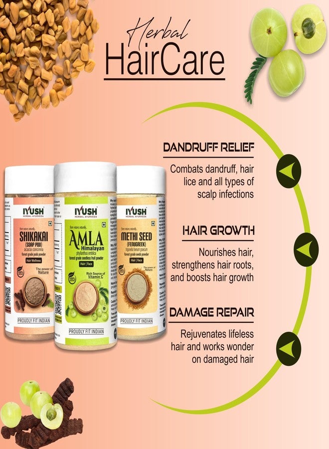 IYUSH Herbal Ayurveda Amla Powder with Methi Powder and Shikakai Powder for Hair Growth - 750gm | Hair Mask for Dry and Frizzy Hair | Hair Volume Powder | Hair Pack | Hair Powder | 250gm each - Image 2