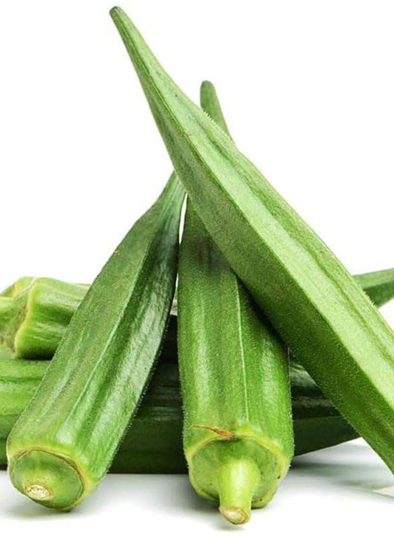 GGOOT 100Pcs Okra Seeds  - Image 1