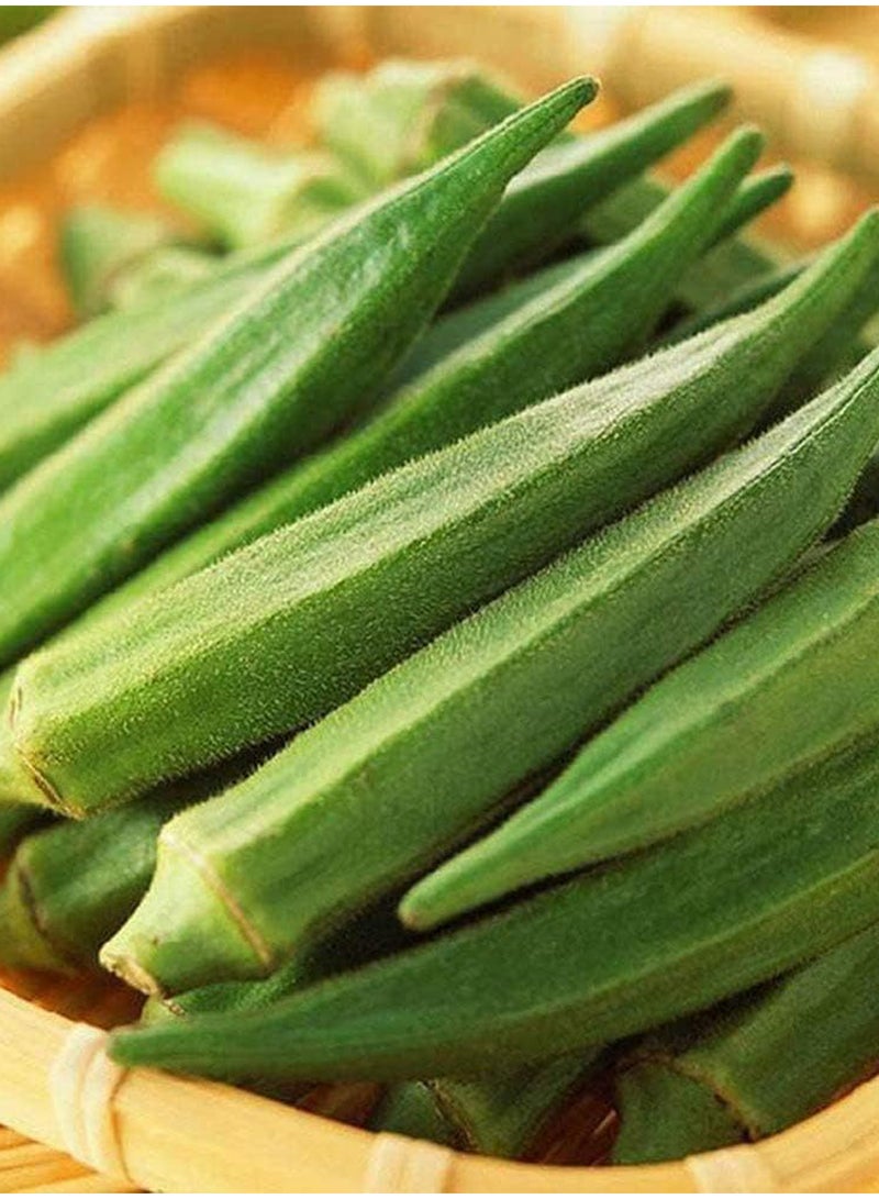 GGOOT 100Pcs Okra Seeds  - Image 3