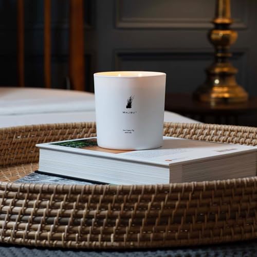 Archipelago Botanicals شمعة أرخبيل بوتانيكالز بيغ سور الفاخرة، خشب الأرز من كاليفورنيا، رائحة العنبر والمسك، شمعة زجاجية بيضاء أنيقة، شمع جوز الهند، حرق مزدوج الفتيل لمدة 100 ساعة (13 أونصة) - Image 5