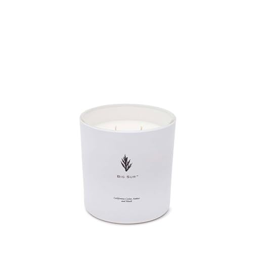 Archipelago Botanicals شمعة أرخبيل بوتانيكالز بيغ سور الفاخرة، خشب الأرز من كاليفورنيا، رائحة العنبر والمسك، شمعة زجاجية بيضاء أنيقة، شمع جوز الهند، حرق مزدوج الفتيل لمدة 100 ساعة (13 أونصة) - Image 2