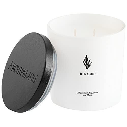 Archipelago Botanicals شمعة أرخبيل بوتانيكالز بيغ سور الفاخرة، خشب الأرز من كاليفورنيا، رائحة العنبر والمسك، شمعة زجاجية بيضاء أنيقة، شمع جوز الهند، حرق مزدوج الفتيل لمدة 100 ساعة (13 أونصة) - Image 1