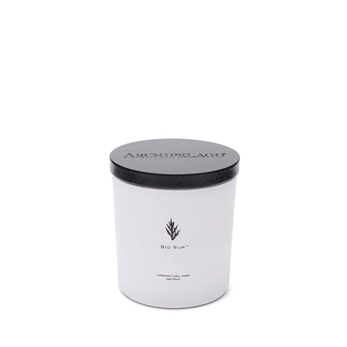Archipelago Botanicals شمعة أرخبيل بوتانيكالز بيغ سور الفاخرة، خشب الأرز من كاليفورنيا، رائحة العنبر والمسك، شمعة زجاجية بيضاء أنيقة، شمع جوز الهند، حرق مزدوج الفتيل لمدة 100 ساعة (13 أونصة) - Image 3