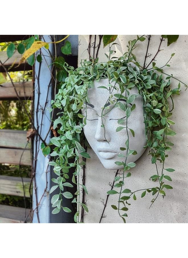 BLUE CORAL Head Wall Girl Face Planter, Wall Mounted Plant Pot,, Hanging Planter Wall Art for Indoor and Outdoor Garden  - Image 5