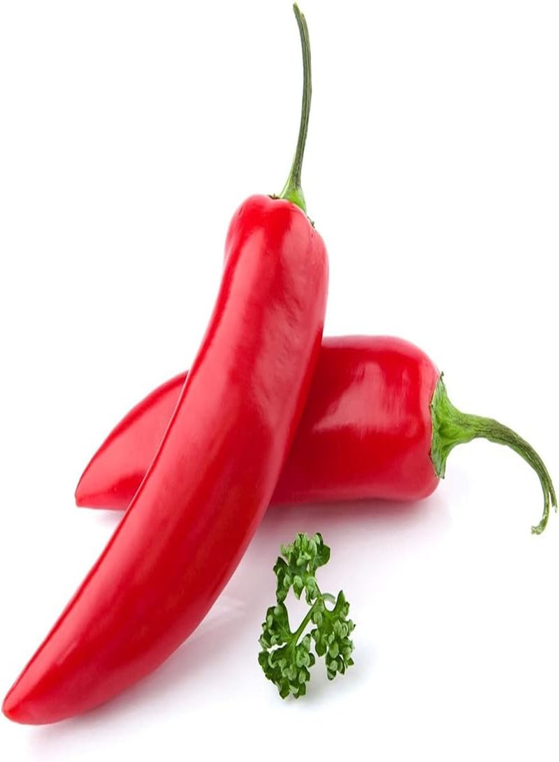 GGOOT 50Pcs Pepper Seeds Annual Natural Chili Vegetables A Must Have Condiment for The Family Bright Red Exterior Embellishes Your Home - Image 2