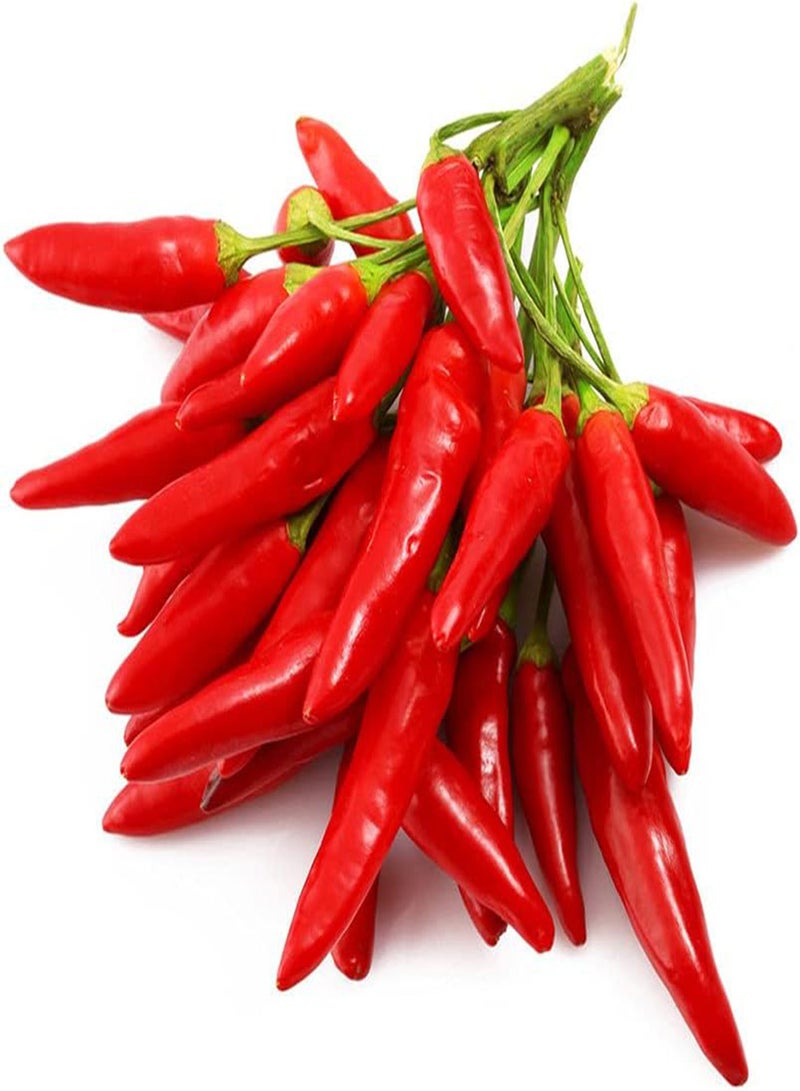 GGOOT 50Pcs Pepper Seeds Annual Natural Chili Vegetables A Must Have Condiment for The Family Bright Red Exterior Embellishes Your Home - Image 1