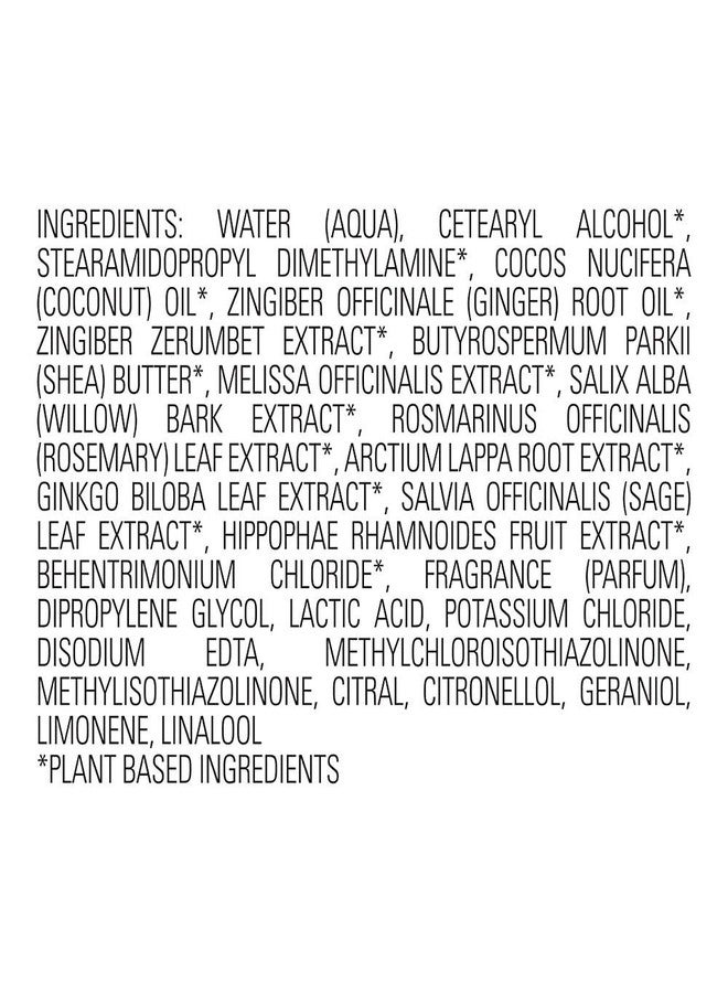 ApotheCARE Essentials Purist Ginger Shampoo - Image 5