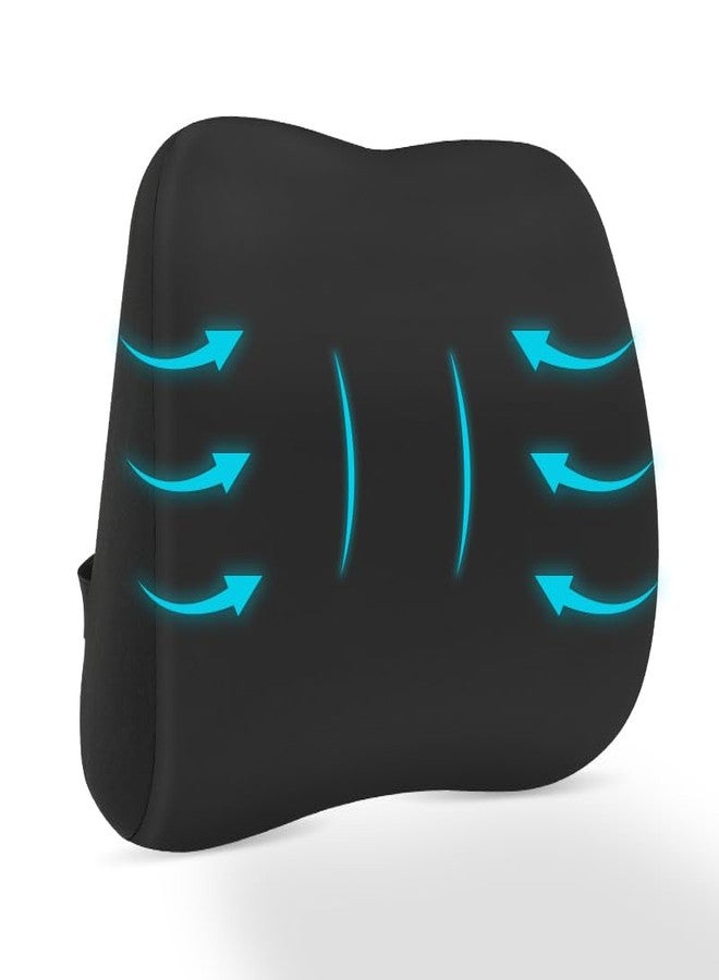 Panduo Lumbar Support Pillow for Office Chair, Memory Foam Lumbar Pillow for Lower Back Pain Relief (xiaoyaokaoblack) - Image 1