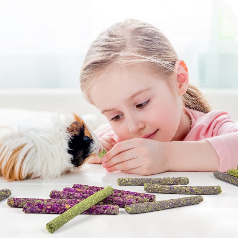 Sofier 32Pcs Timothy Hay Sticks 320g for Rabbit, Guinea Pig, Hamster - Natural Handmade Treats and Chews for Teeth - Chinchilla, Rat, Gerbil Toys - Image 4