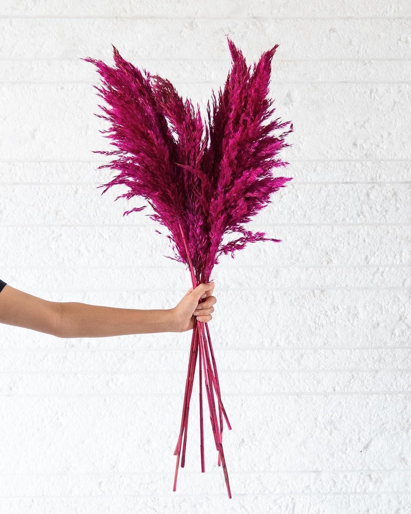 Flowers and Fillers Pink Pampas Grass Pack of 10 Sticks Natural Dried Flower EcoFriendly Flowers for Home Office Bedroom Table Decoration and Craft Items Corner Without Vase Pot