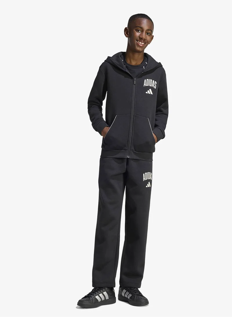 Adidas  Youth Seasonals Collegiate Typography Hoodie  | Best Price UAE
