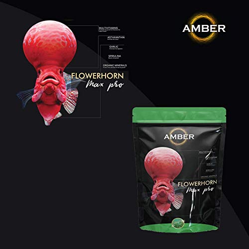 Amber Taiyo Asta Plus Flowerhorn Food,100 Gram - All Life Stages, Pellet, Fish - Image 2