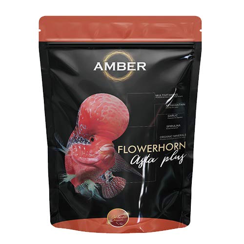 Amber Taiyo Asta Plus Flowerhorn Food,100 Gram - All Life Stages, Pellet, Fish - Image 1