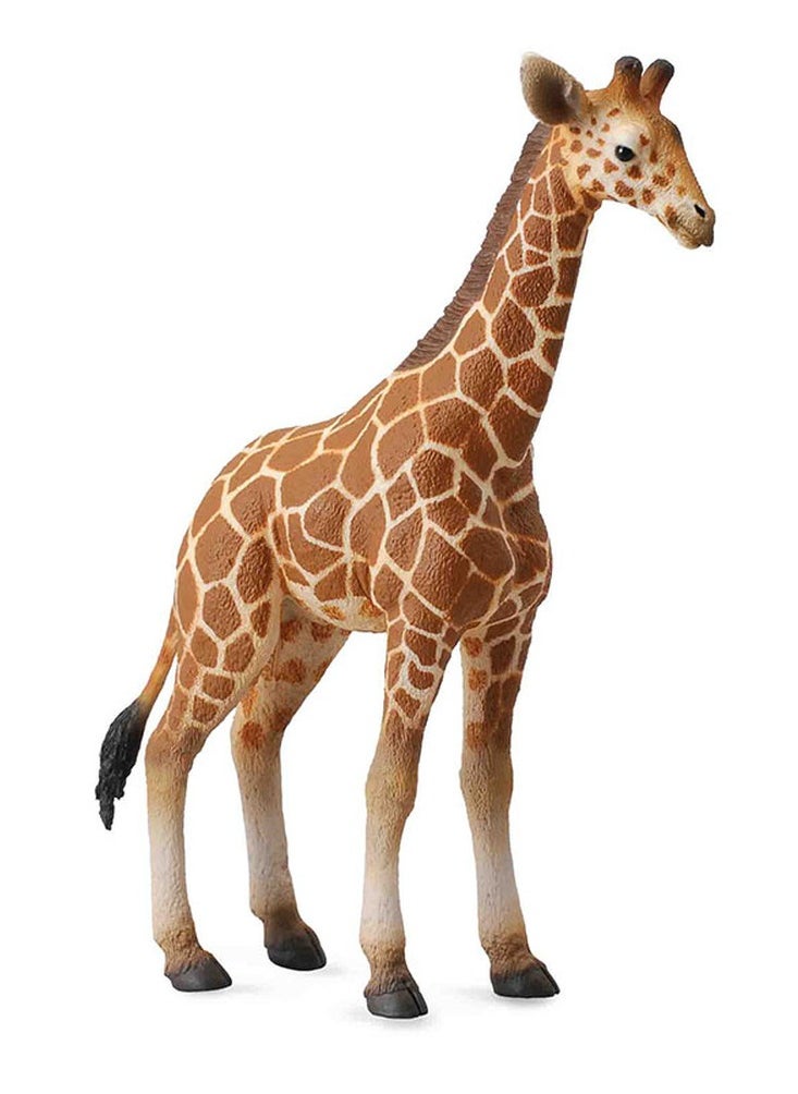 CollectA Collecta - Reticulated Giraffe Calf - 88535 
