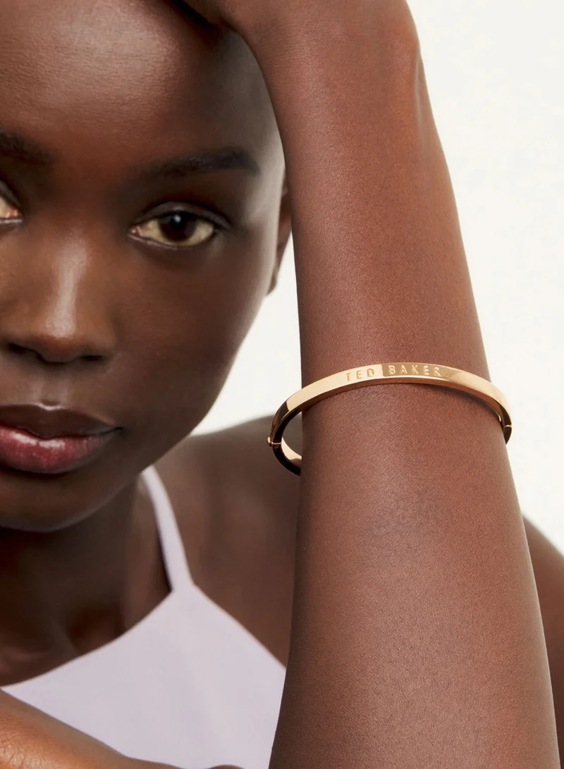 Ted Baker Clemina Hinge Metallic Bangle