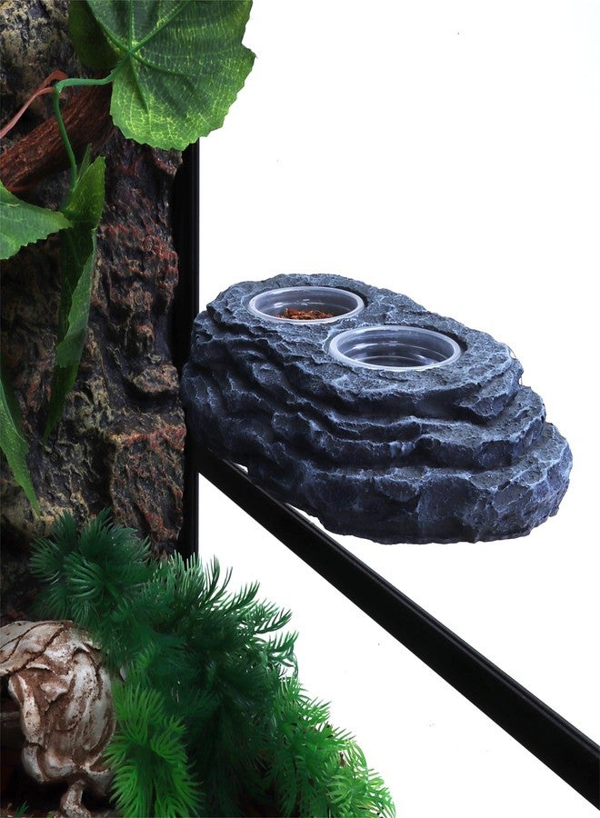 AIICIOO Crested Gecko Feeding Ledge Strong Magnetic Pet Food Bowl and Water Dish with 6 Pack Plastic Reptile Food Cups for Frog Chameleon Tortoise Lizard Pets - Image 5