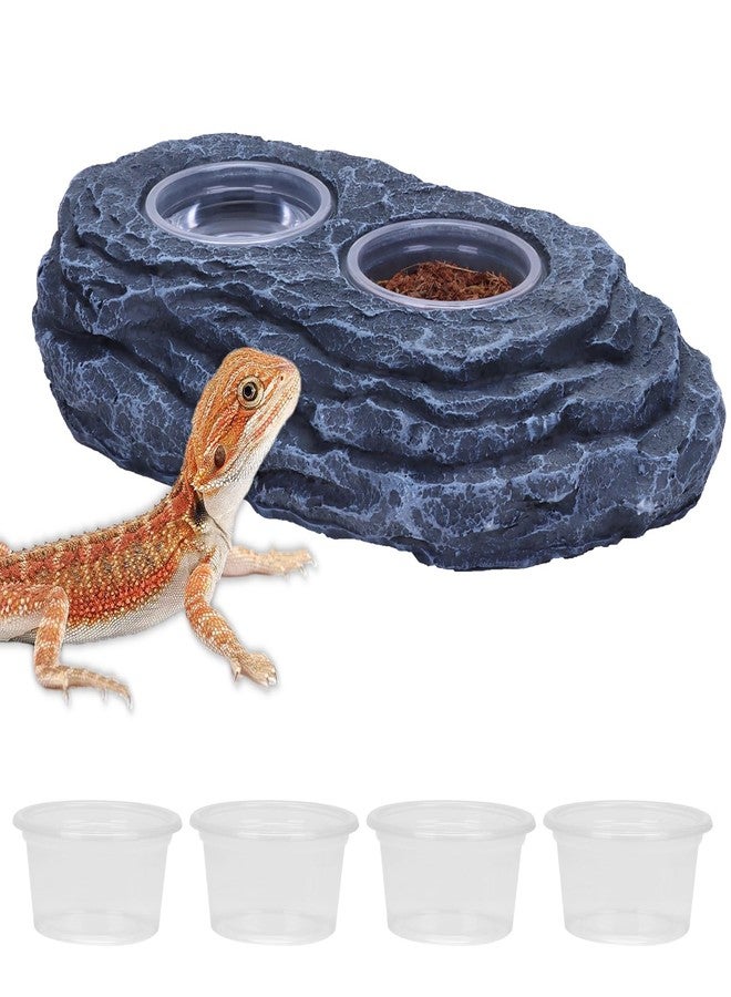 AIICIOO Crested Gecko Feeding Ledge Strong Magnetic Pet Food Bowl and Water Dish with 6 Pack Plastic Reptile Food Cups for Frog Chameleon Tortoise Lizard Pets - Image 1