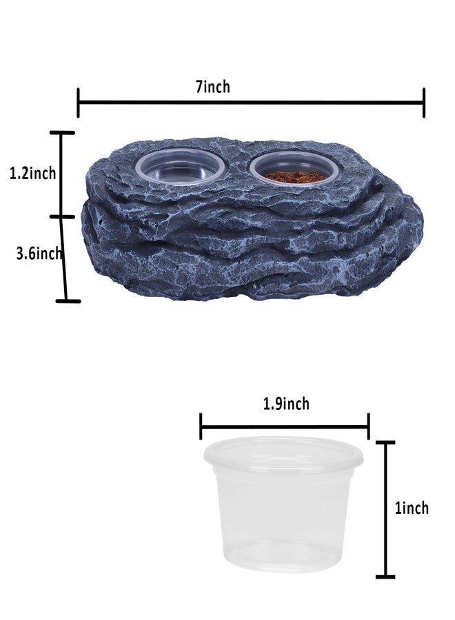 AIICIOO Crested Gecko Feeding Ledge Strong Magnetic Pet Food Bowl and Water Dish with 6 Pack Plastic Reptile Food Cups for Frog Chameleon Tortoise Lizard Pets - Image 4