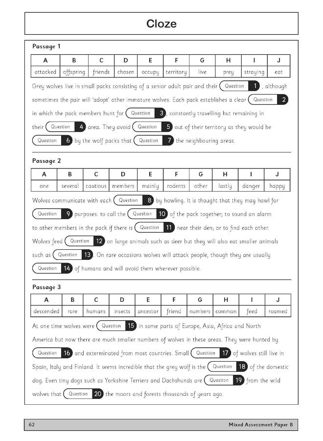 11+ Practice Papers for the CEM Test Ages 10-11 - - Image 5