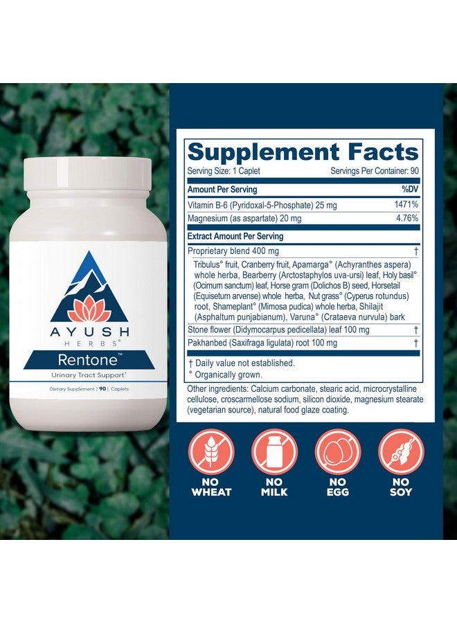 Ayush Herbs Rentone - Kidney Support Supplement with Cranberry, Kidney Cleanse Pills for Women & Men, Urinary Health & Bladder Function - 90 Vegetarian Capsules (1 Count) - Image 3