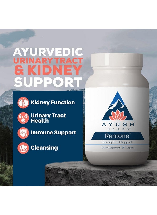 Ayush Herbs Rentone - Kidney Support Supplement with Cranberry, Kidney Cleanse Pills for Women & Men, Urinary Health & Bladder Function - 90 Vegetarian Capsules (1 Count) - Image 2